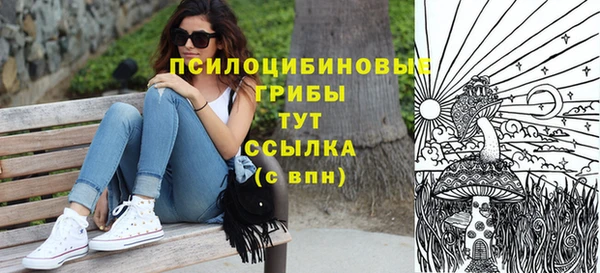 круглые Алзамай