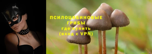 стаф Алексин