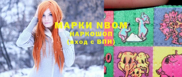стаф Алексин