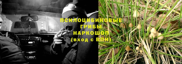 эйфоретик Алексеевка